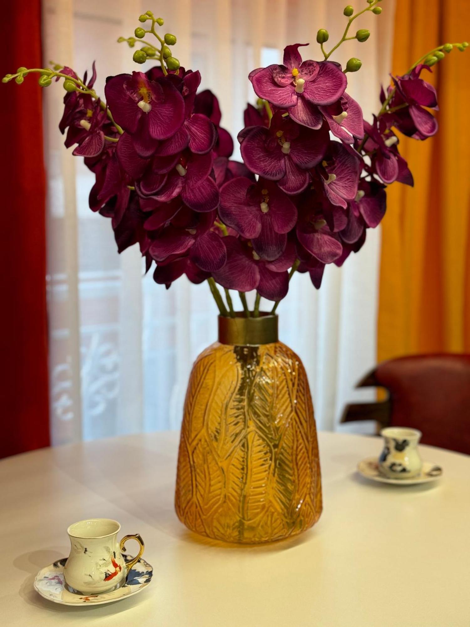 Ohana Apartment Tirana